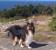 V�r stolte 5-�ring