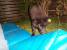 B�st att d�da madrassen