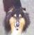 Vad g�r du...husse?