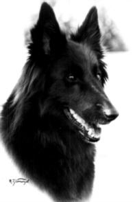 Dixie